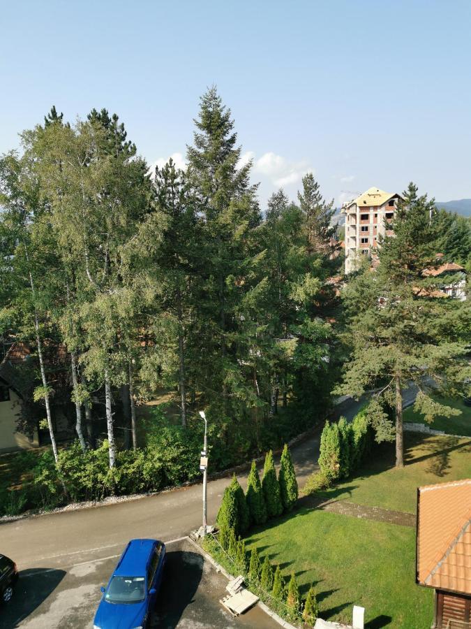 Apartman Stefanovic Vila Darija Lux Zlatibor Exterior photo
