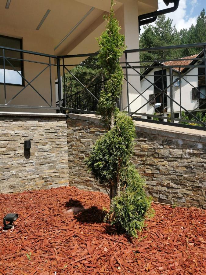 Apartman Stefanovic Vila Darija Lux Zlatibor Exterior photo